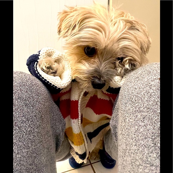 Meet your Posher, Sarah 💕♎️🩺🪴🧁🍗😎 - Picture 1 of 1